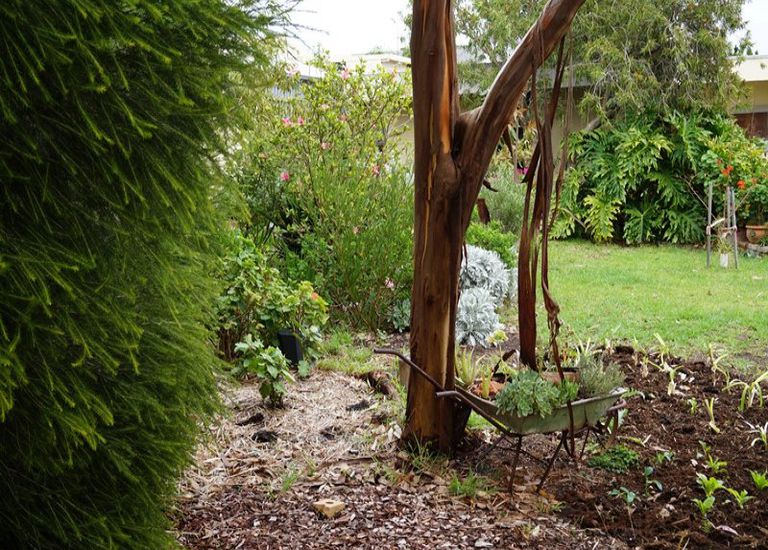 11 Third Street, Hallett Cove