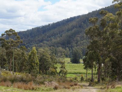 Cross Road, Nicholls Rivulet