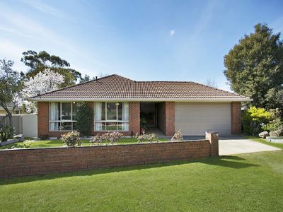 41 William Street, Castlemaine