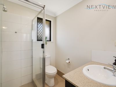 17 Wedgetail Street, Fletcher