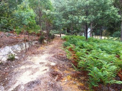Lot 16 Waggs Gully Road, Ranelagh