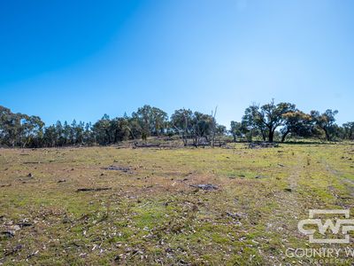 Lot 16, 18, - Emmaville Rd, Emmaville