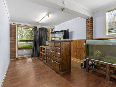1 Akebia Street, Arana Hills
