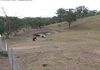 Lot 3, 71 Store Creek Road, Orange