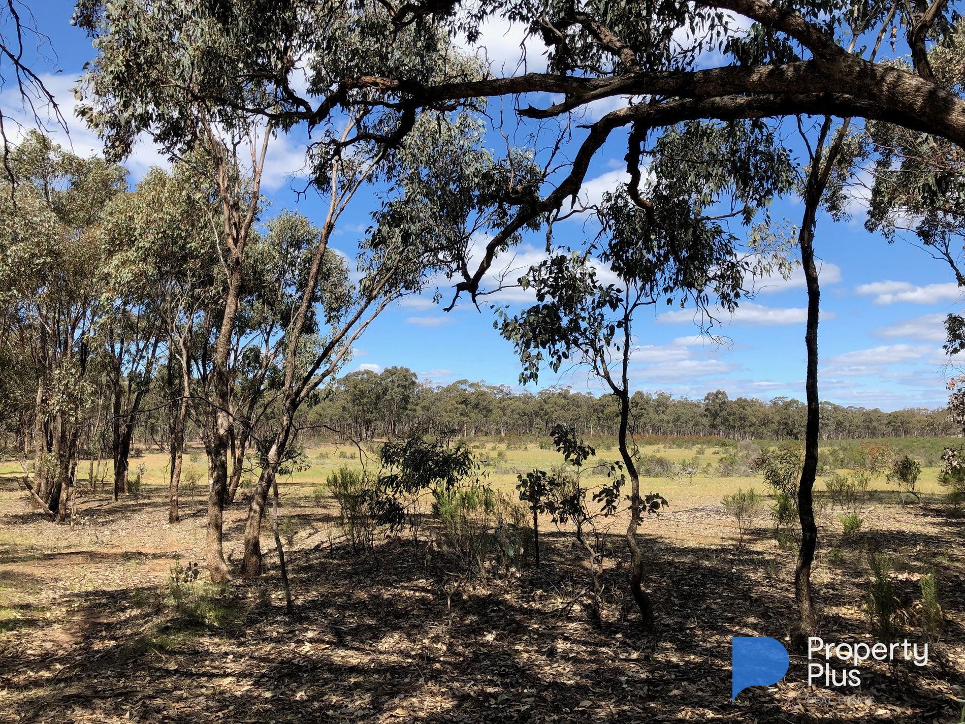 Lot 18 & 19, Derby Road, Campbells Forest