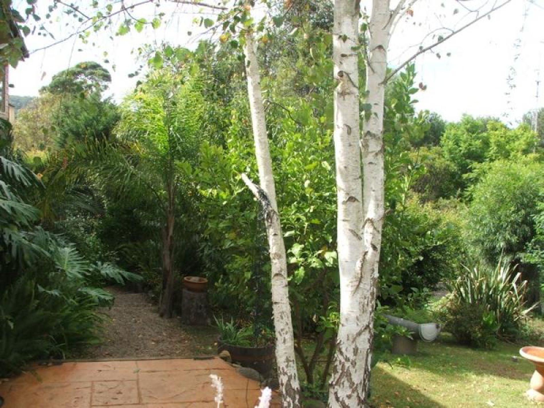 37 Acacia Street, Fishermans Paradise