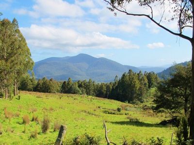 Halls Track Road, Pelverata