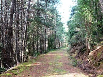 Land Off Steeles Road, Nicholls Rivulet