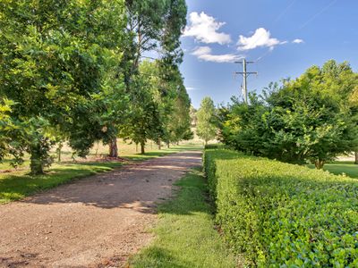 Lot 1, 157 Jingellic Road, Jingellic