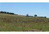 304 Norah Creek Road, Molong