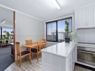 16 Daphne Street, Wynyard