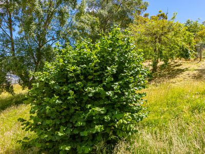 36 Judds Creek Road, Judbury