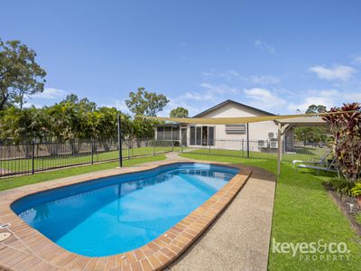 16 Mustang Road, Kelso