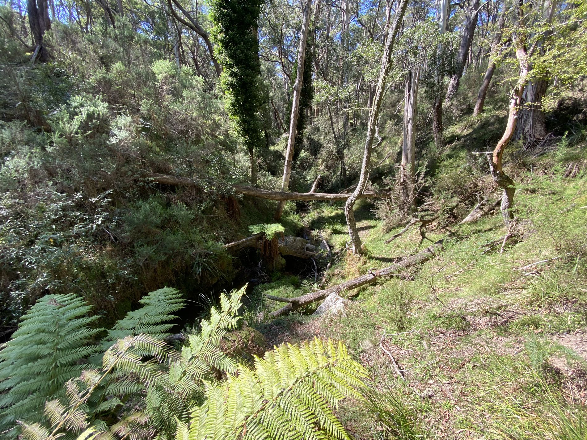 124 Gumms Road, Harolds Cross