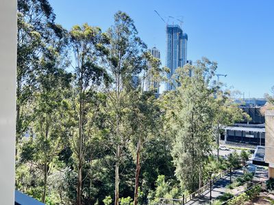 B506 / 82 Waterloo Road, Macquarie Park