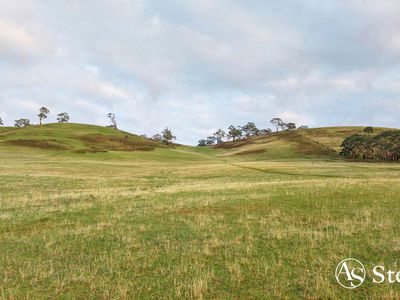 260 & 310 Mt William Road, Goldie