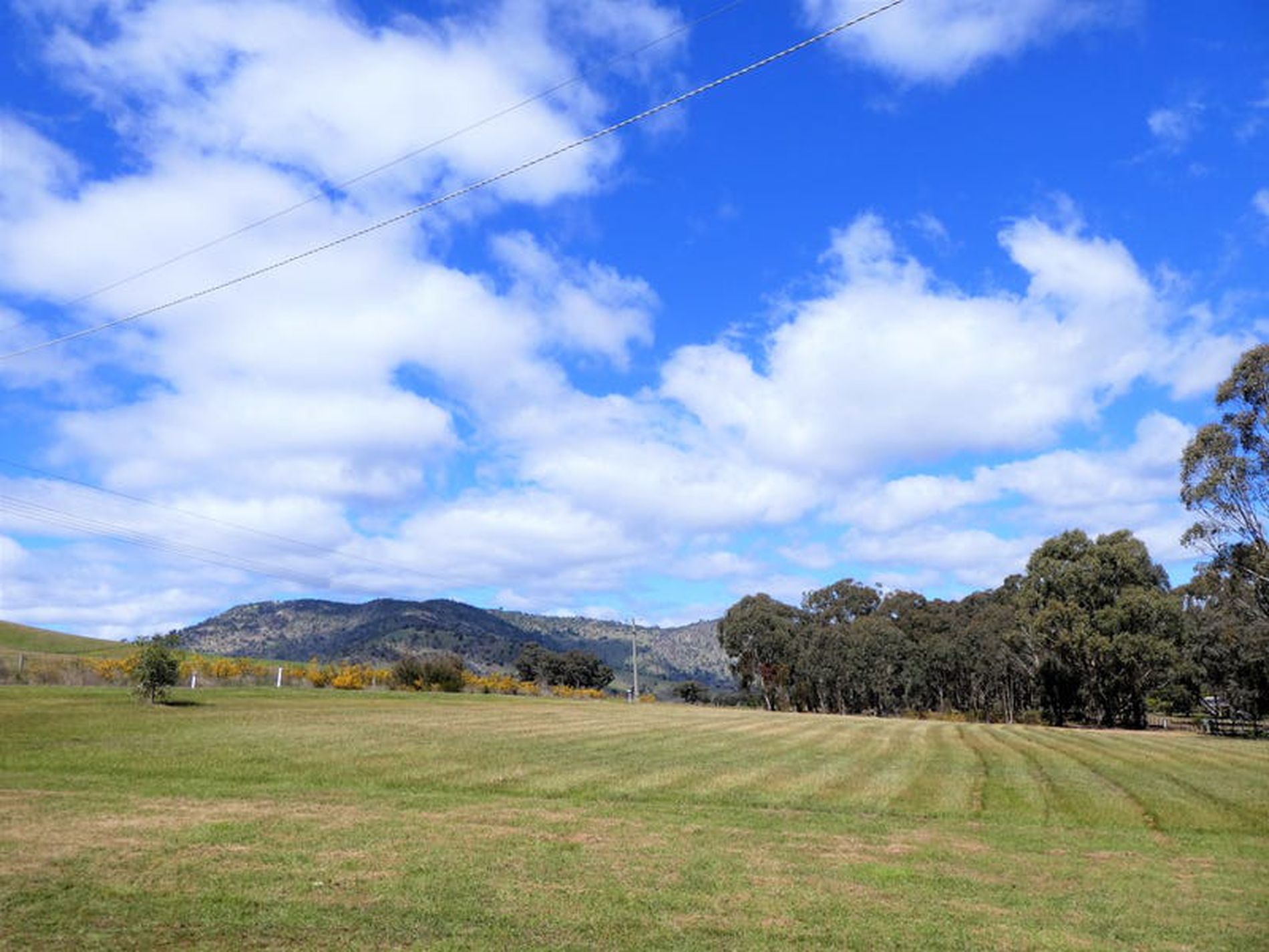 580 Telegraph Rd, Seymour