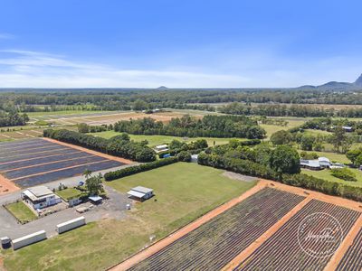 43 Morrison Road, Glass House Mountains