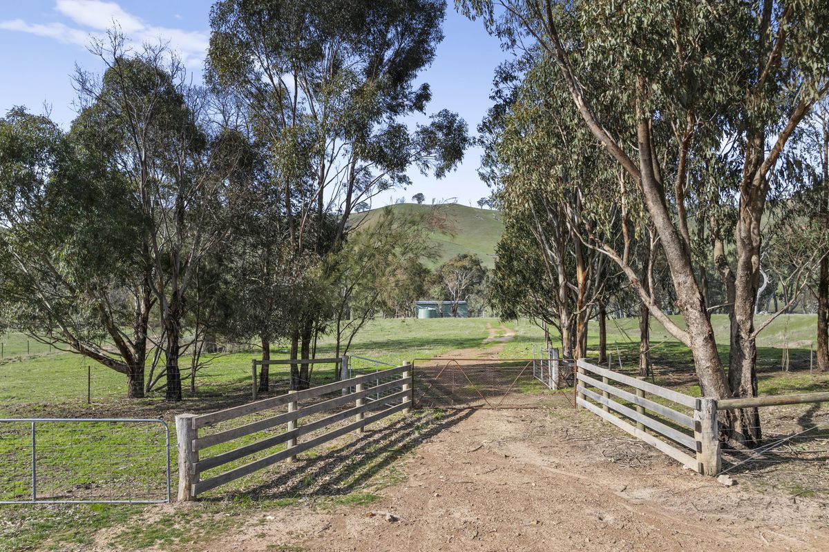251 Woolshed Road, Woodfield