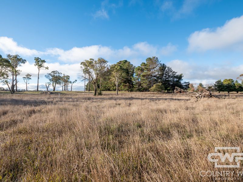 Lot 2, Tuckeys Lane, Guyra NSW 2365, Australia, Guyra