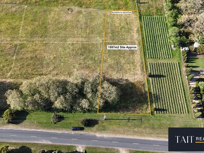 49 Main Street, Eldorado