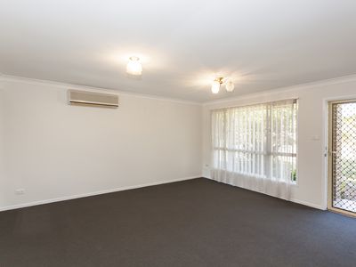 146 Coachwood Drive, Medowie