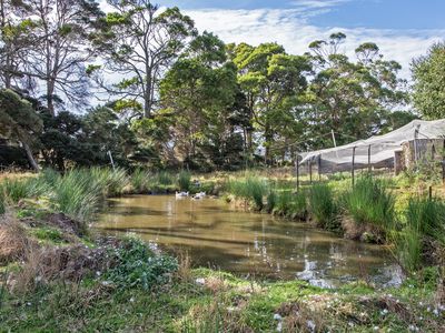 211 Back Line Road, Forest