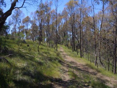 Lot 1 Bush Sanctuary Road, Chewton