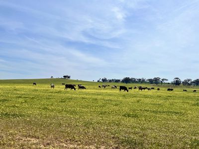 547 Bunmulling Road, Popanyinning