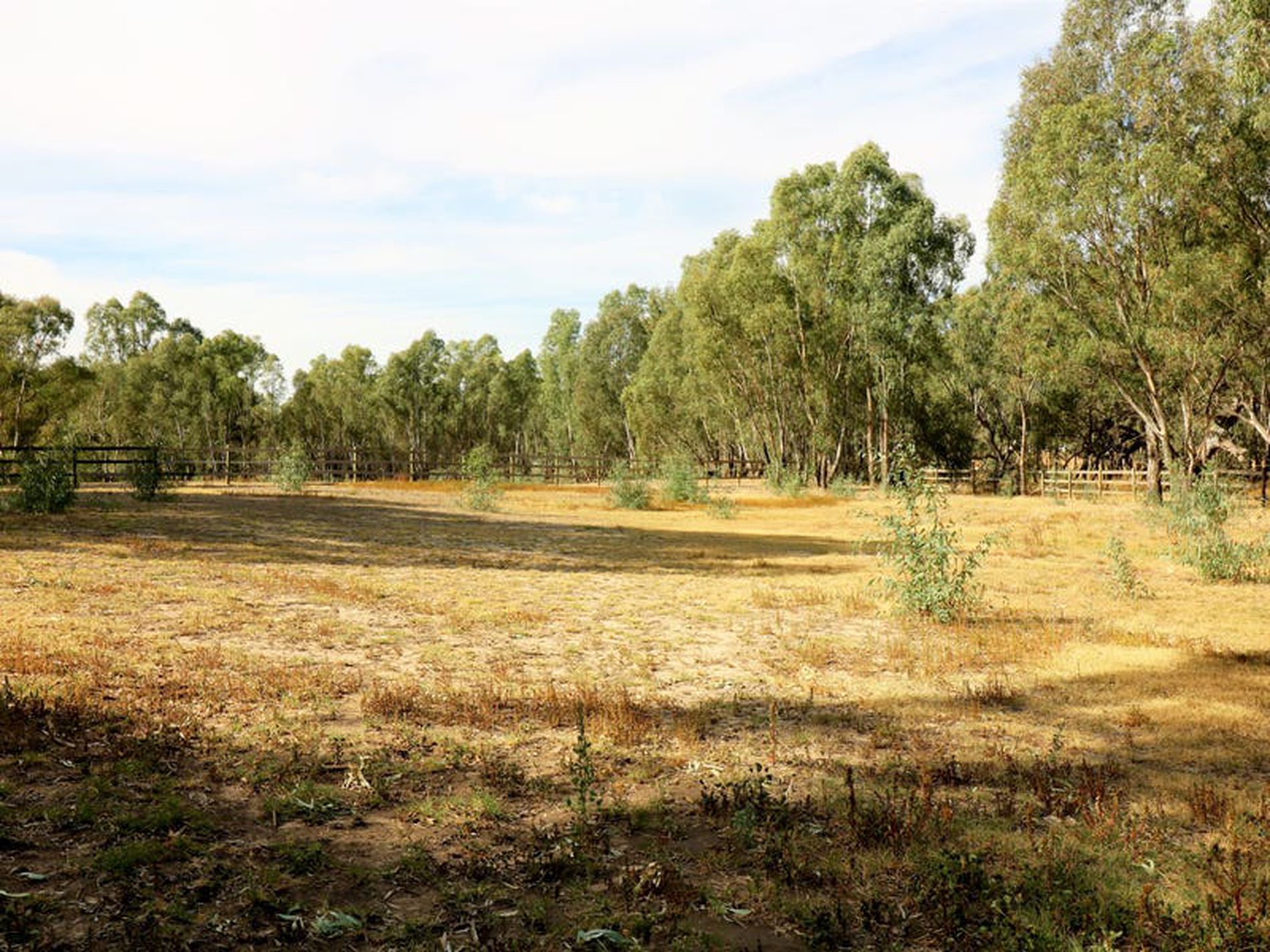 65 Highlands Rd, Seymour