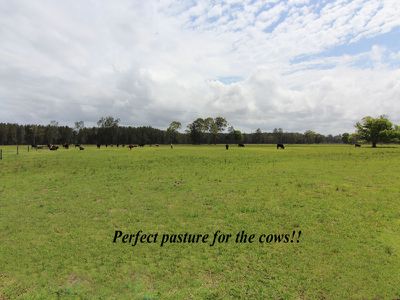 374 Elliots Road, Nabiac