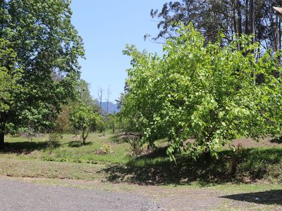10 / 924 Blue Knob Rd, Nimbin