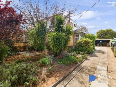 11 Currie Street, Charlton