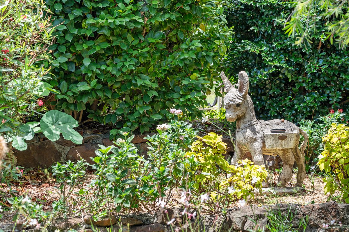 64 Bridge Street, Wyrallah