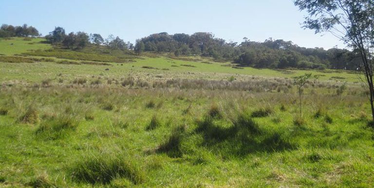Harrys Creek Road, Strathbogie