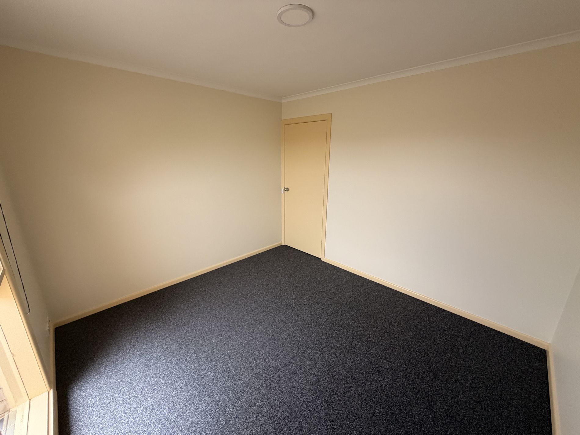 4 / 2 Mimosa Street, Newcomb