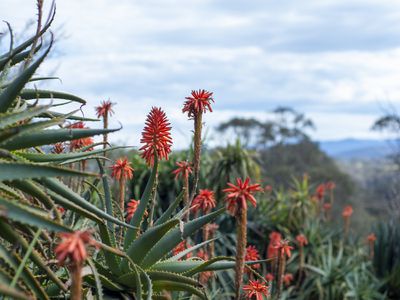 287 Briagolong Stockdale Road, Briagolong