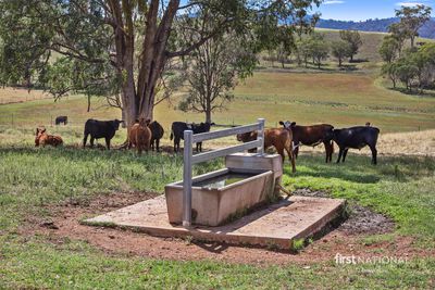 503 Garthowen Road, Attunga