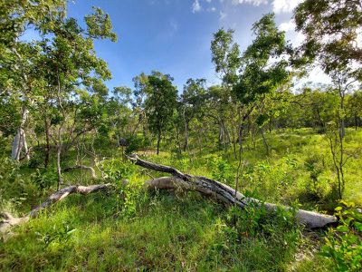 2554 Mulligan Highway Road, Cooktown