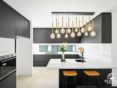 47  Feathertail Avenue, Marsden Park