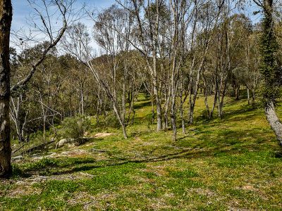 61 Megalong Lane, Canyonleigh