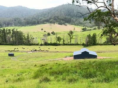 Lot 1 / 2667 Pappinbarra Rd, Pappinbarra