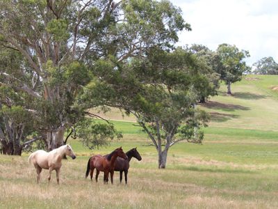 80 Owens Creek Drive, Mansfield