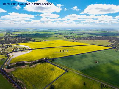 Lot 5 and 6 DP270108 Conargo road, , Deniliquin