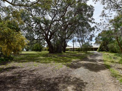 30779 PRINCES HIGHWAY, Millicent