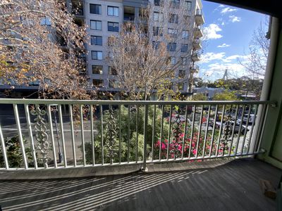 230 Harris Street, Pyrmont
