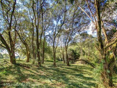 93 Western Avenue, Montville