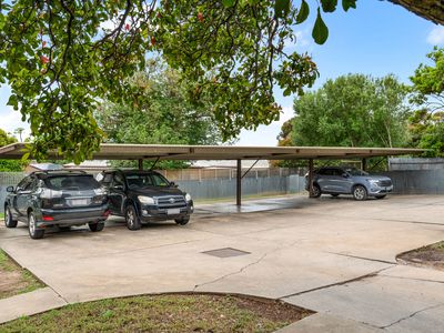 3 / 8 Forbes Street, Pasadena