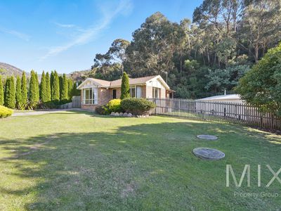 98A Montrose Road, Montrose