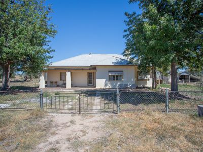 Lot 1, 115 Shelleys Road, Cornishtown